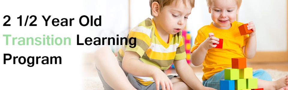 Transition Learning Daycare Program
